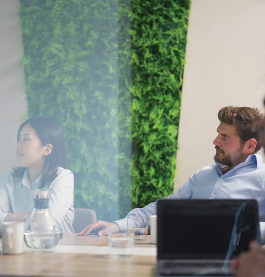 employees in a meeting