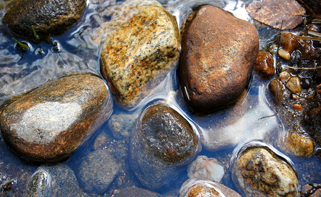 rocks on a creek bed